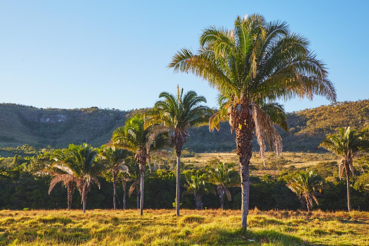 Alto Paraíso de Goiás Eit Eco Inteligente 빌라 외부 사진