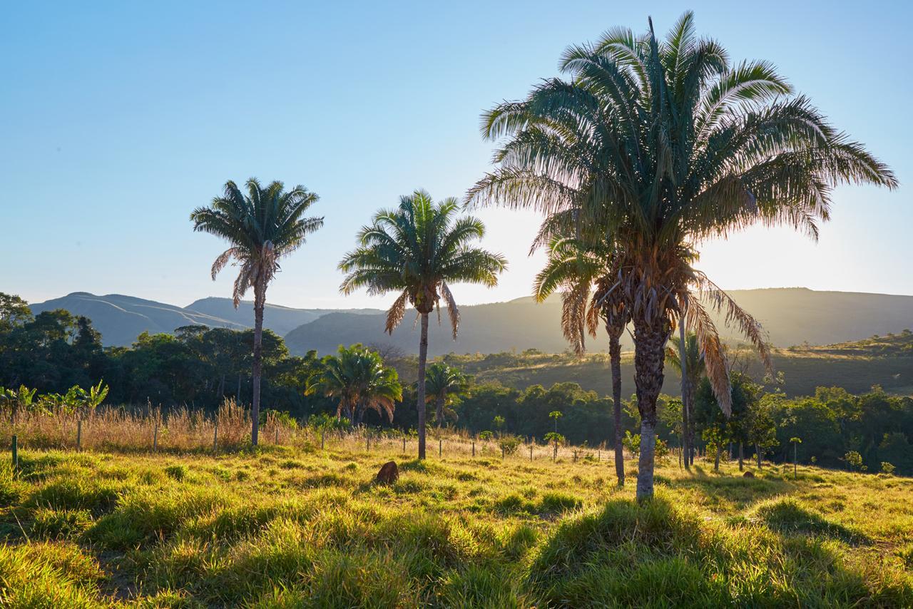 Alto Paraíso de Goiás Eit Eco Inteligente 빌라 외부 사진